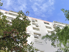 Lacul Tei, Teiul Doamnei, Doamna Ghica, langa parcul Tei si Plumbuita